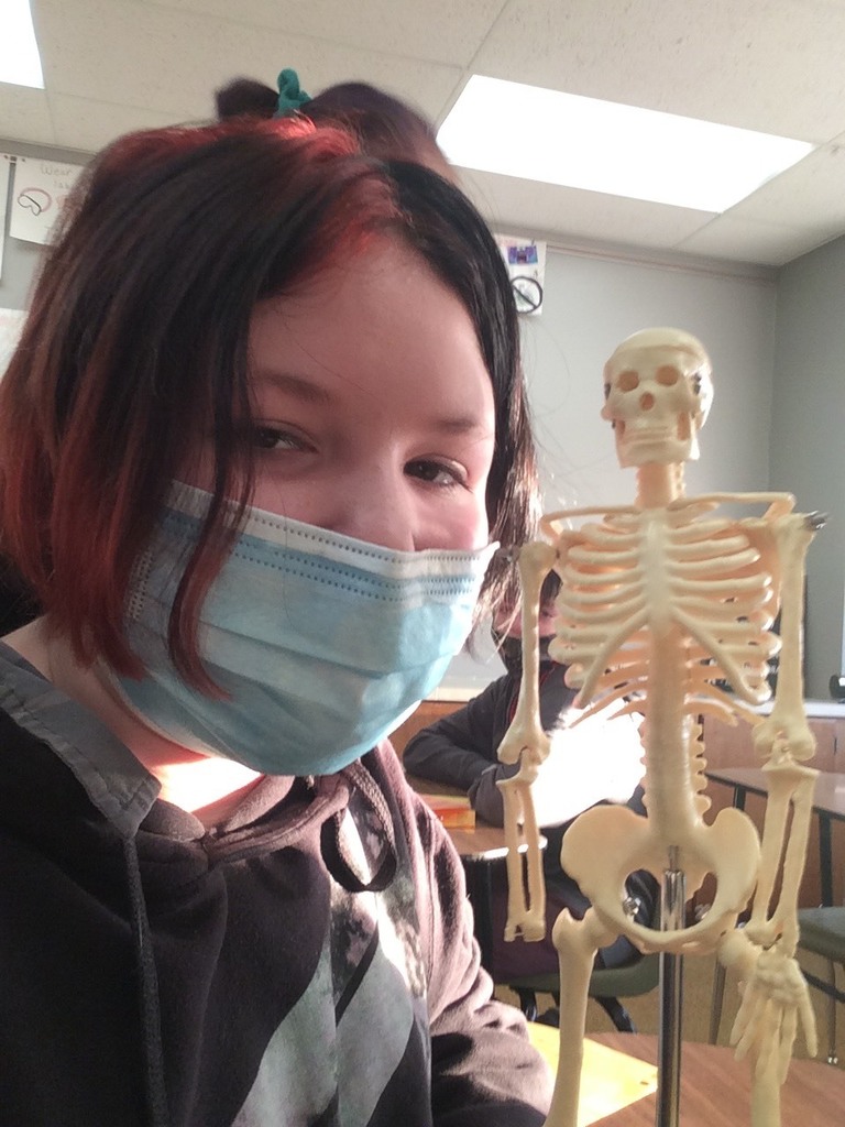 student and skeleton