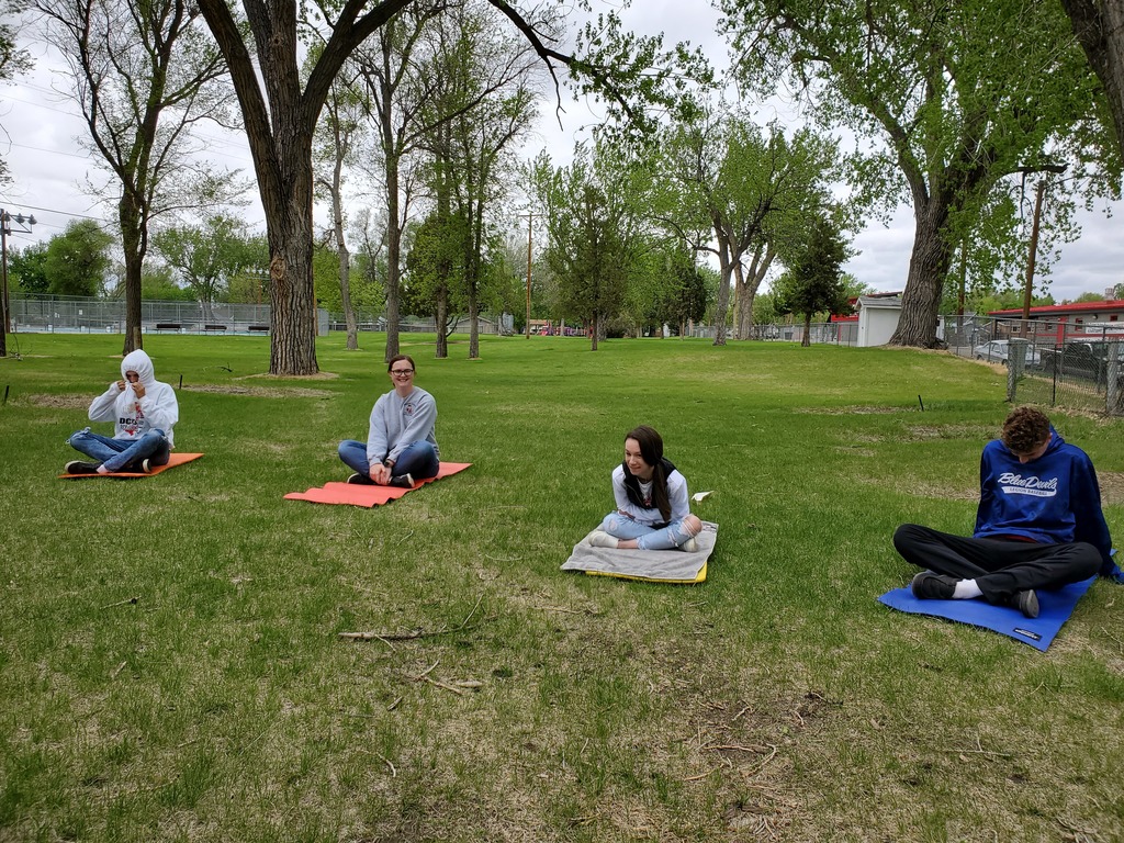 A&P Yoga