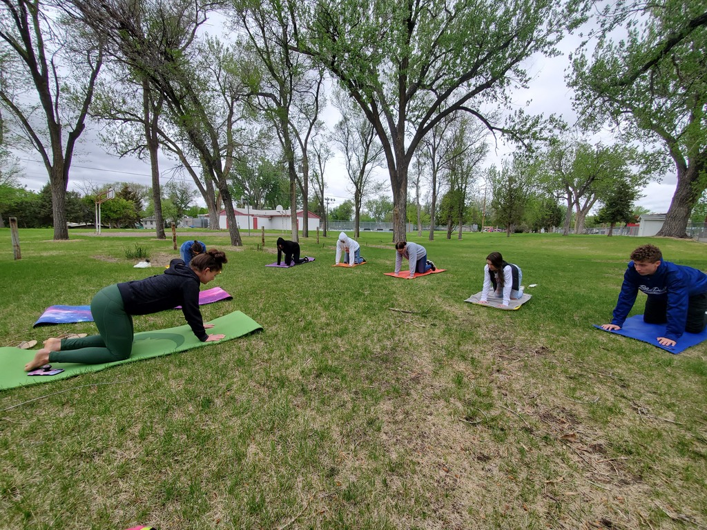 A&P Yoga