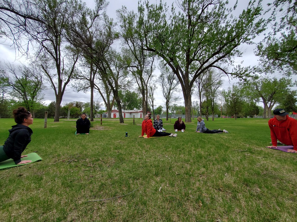 A&P Yoga