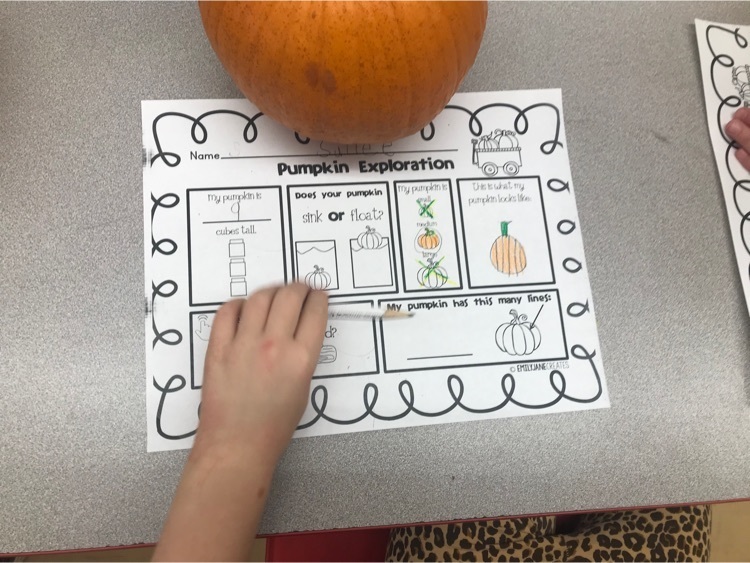 Kindergarten pumpkin exploration activity