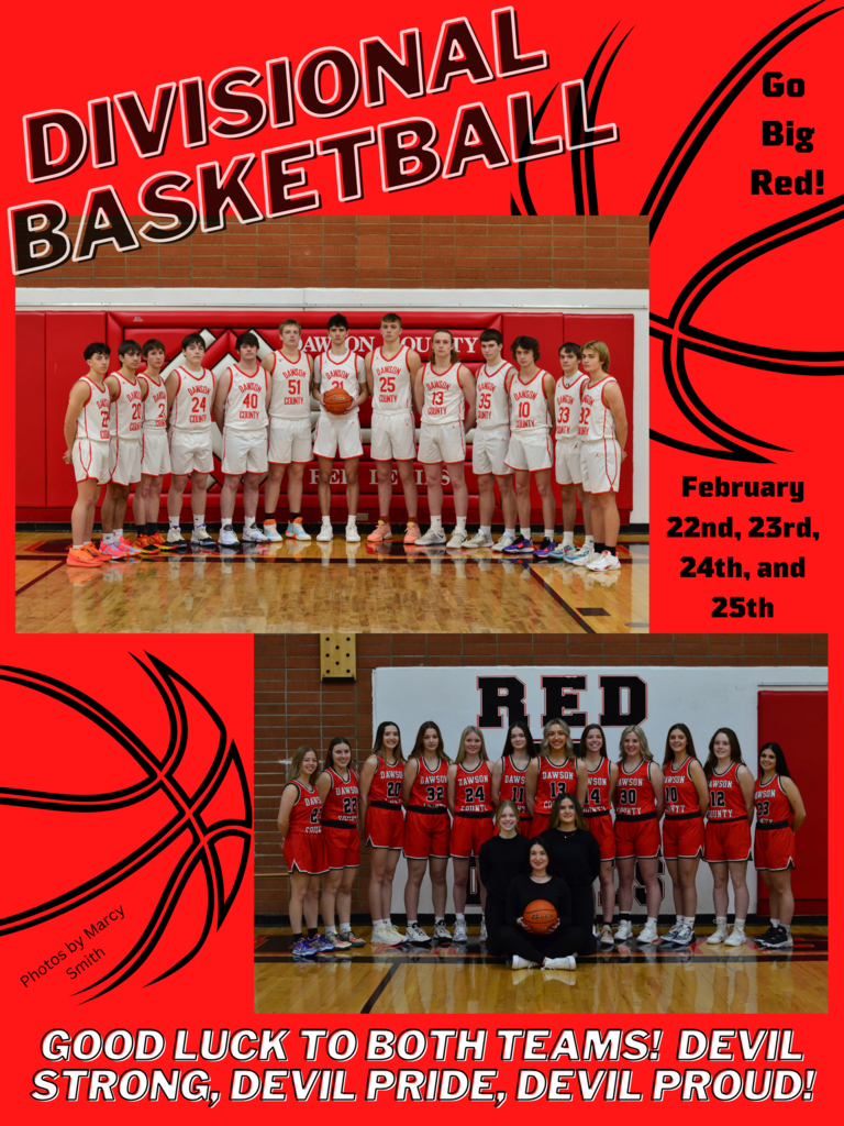 Divisional Basketball Poster